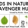 Kids in Nature Scavenger Hunt (FREEBIE!)